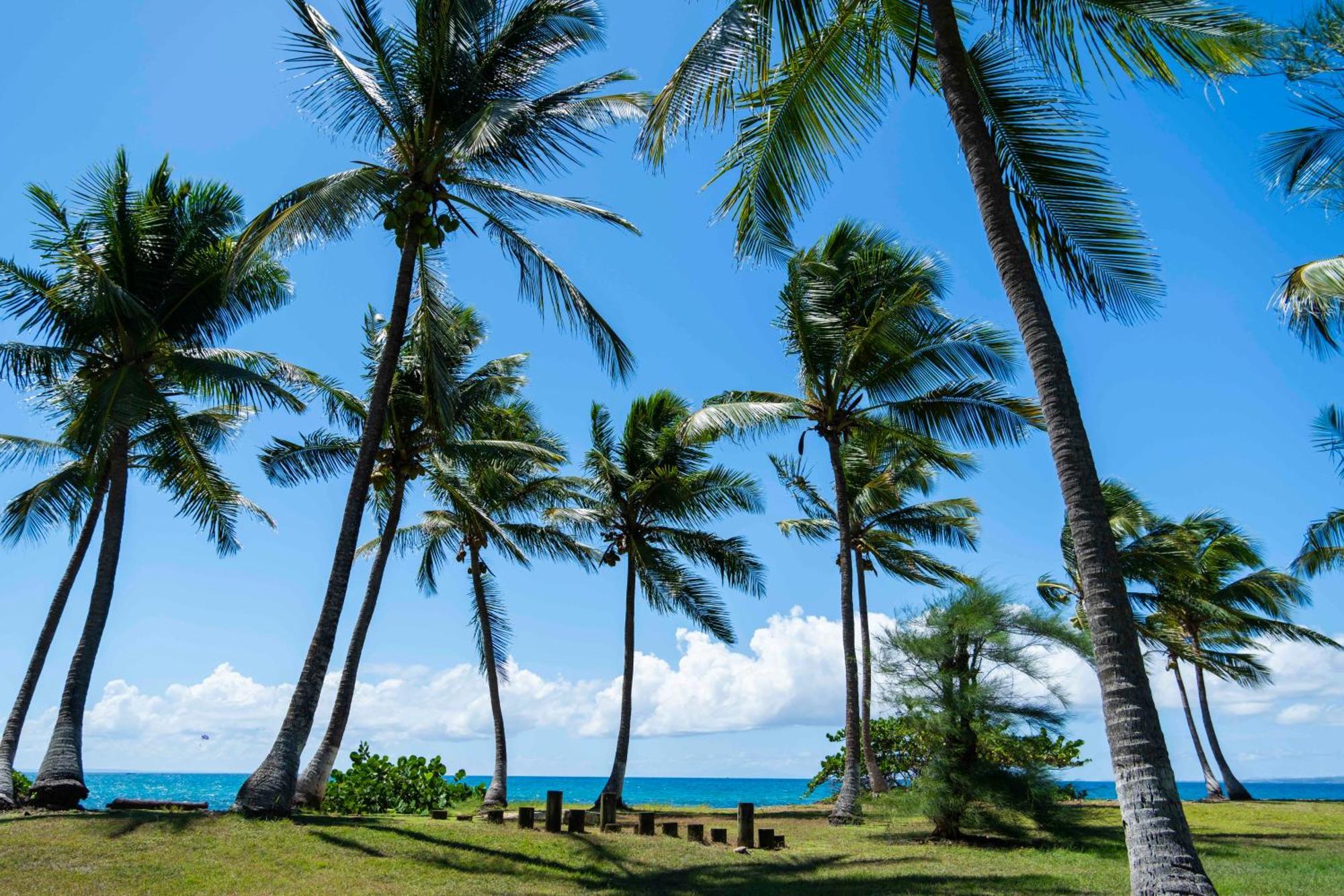 Hotel Fleur D'Epee Le Gosier  Luaran gambar